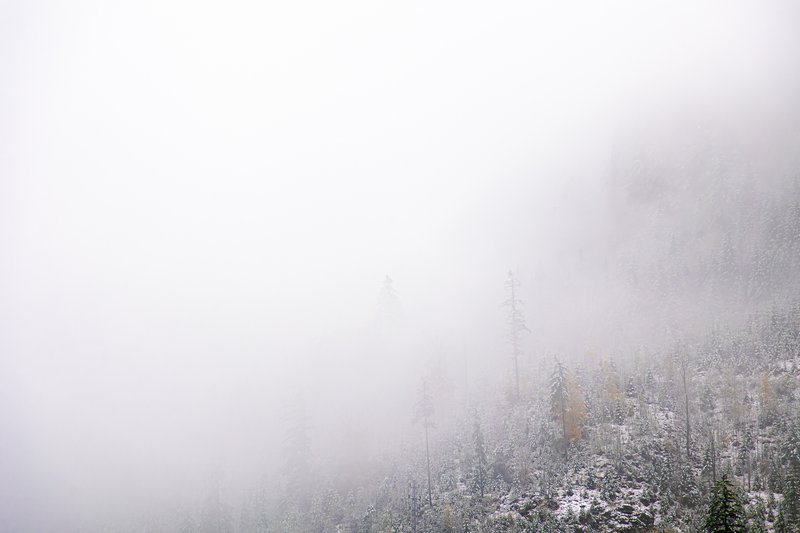 Fog
