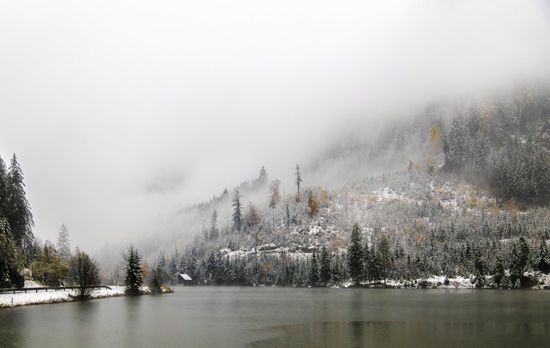 Fog