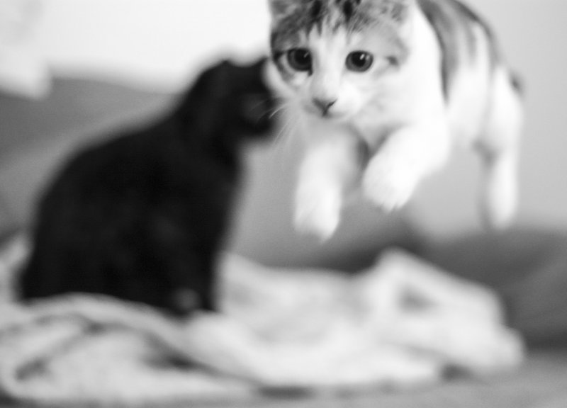 the tiny sublime