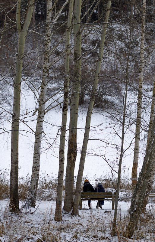 Winter II